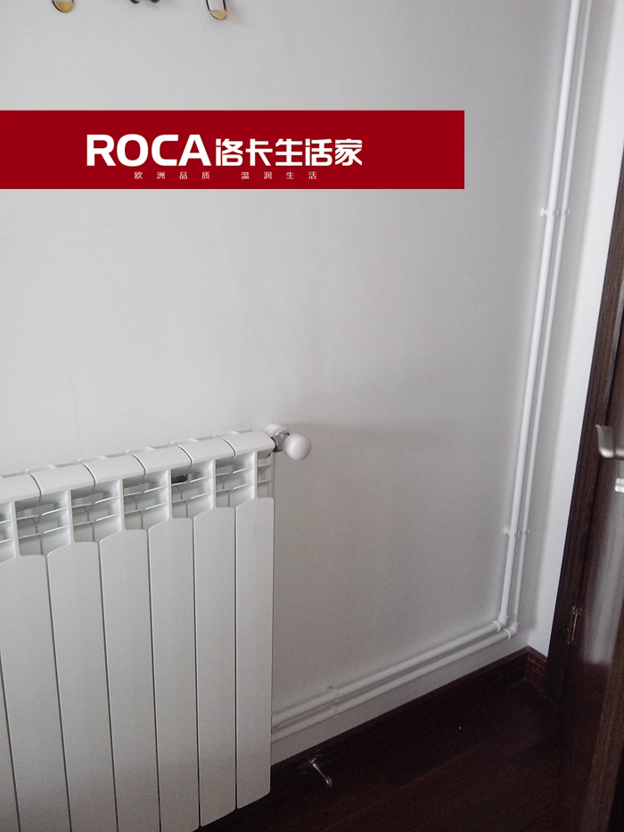 \南京進(jìn)口暖氣片壁掛爐 明裝暖氣片 中央凈水