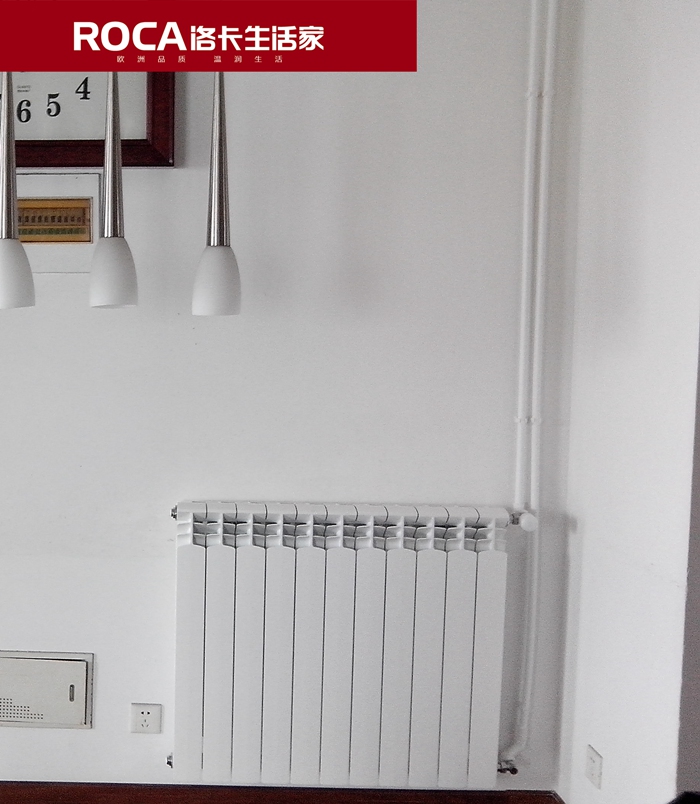 \南京進(jìn)口暖氣片壁掛爐 明裝暖氣片 中央凈水